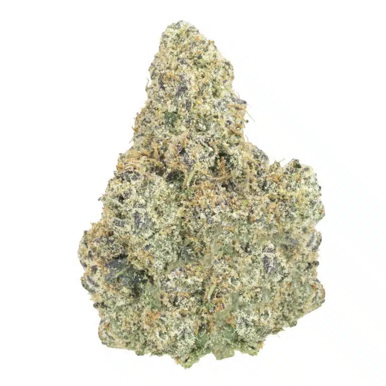 Premium Top Gun THCa flower