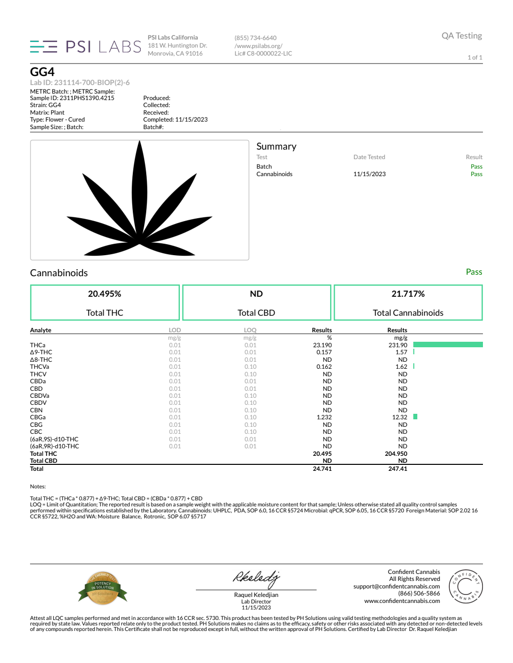 Gorilla Glue #4 Indoor THCA Flower – Indica